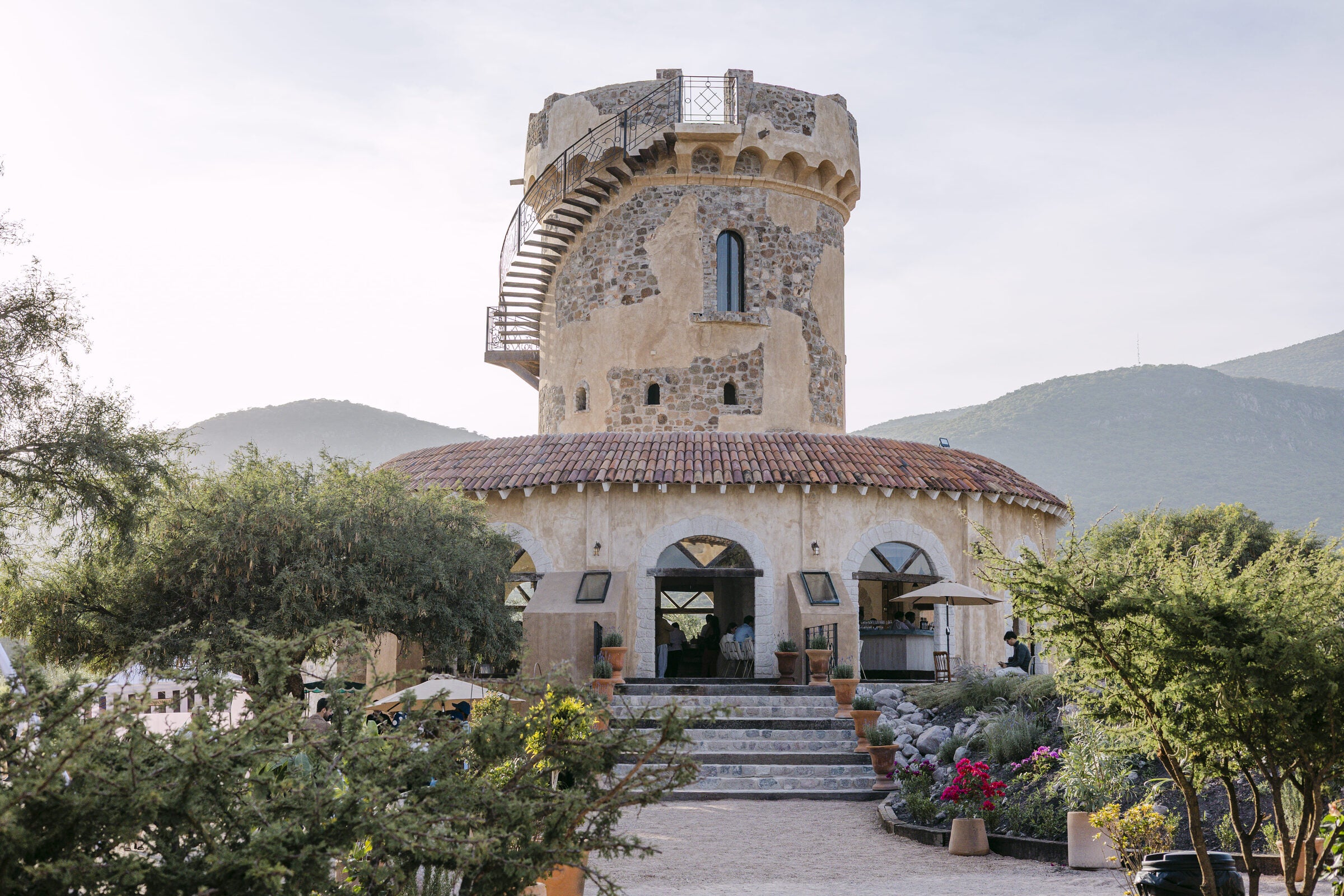 Viñedo de Piedra
