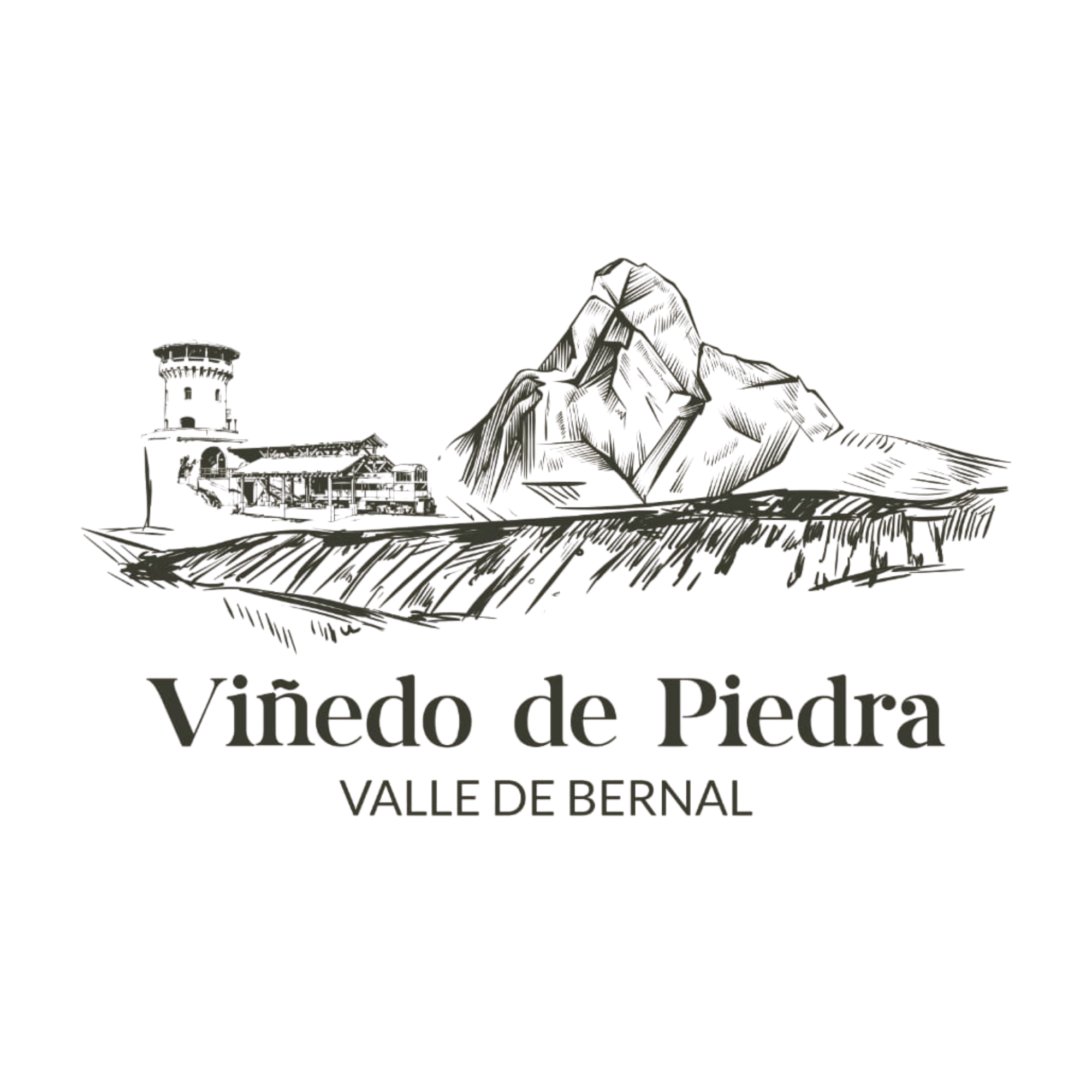 Viñedo de Piedra