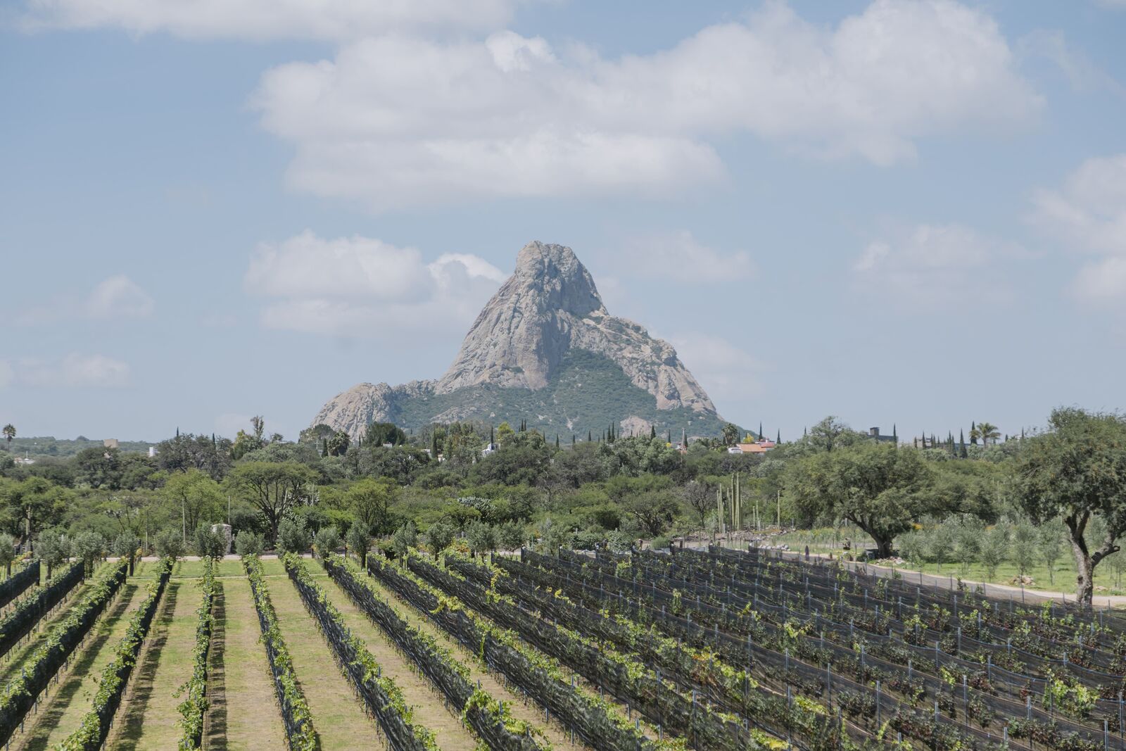 En el corazón del Valle de Bernal