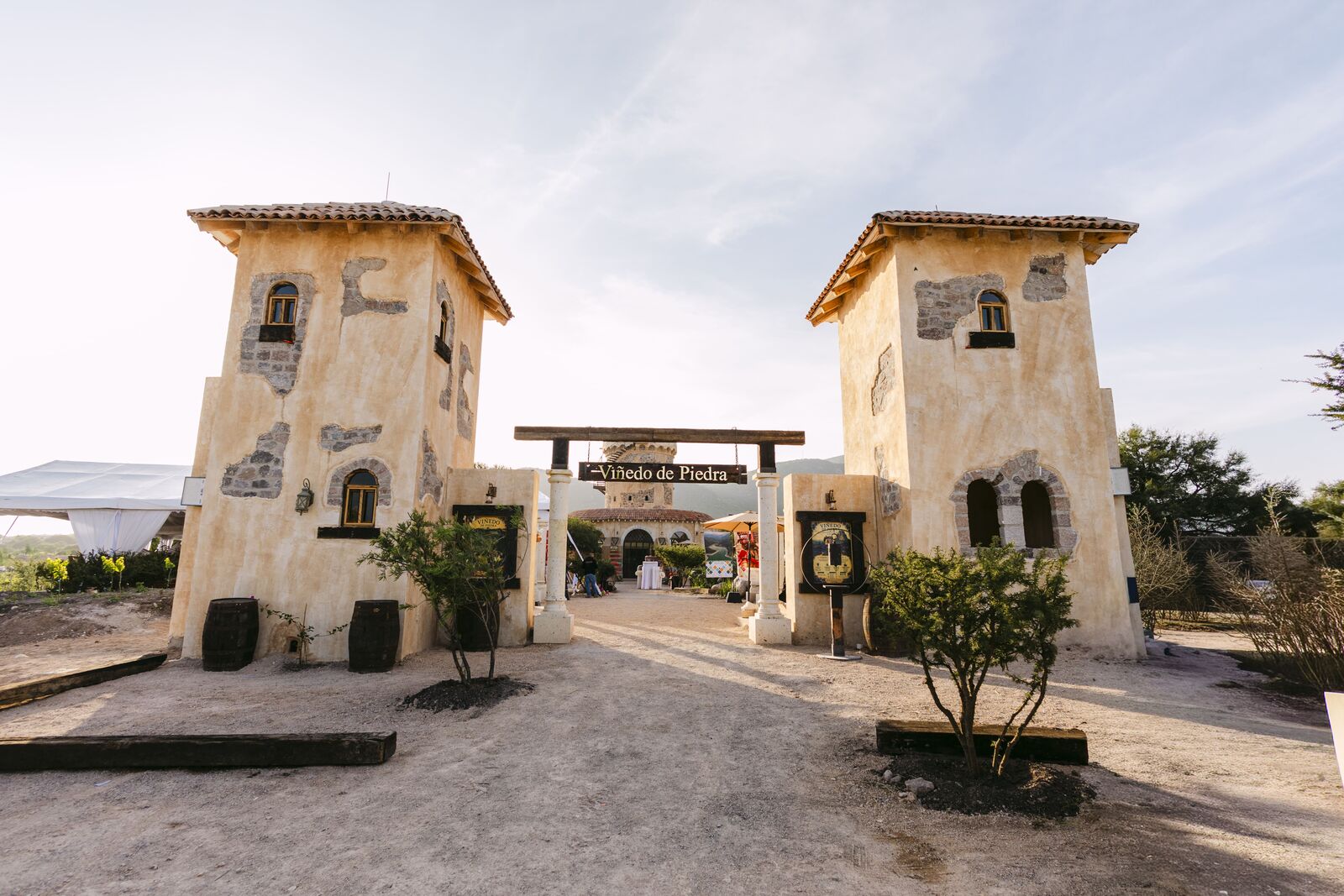 Vendimia Viñedo de Piedra — foto 14