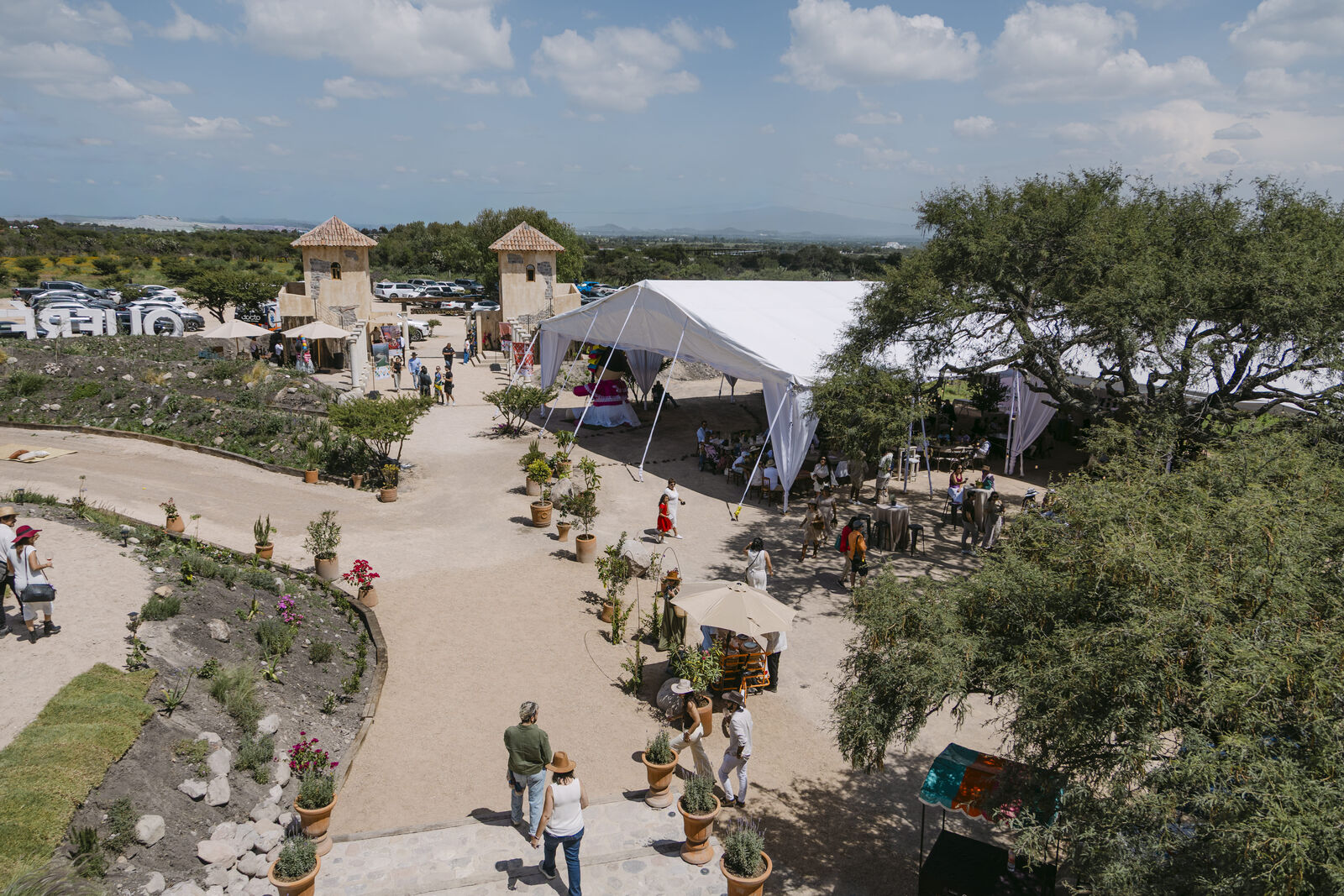 Vendimia Viñedo de Piedra — foto 4